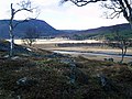 General view of Allanaquoich from the Linn of Dee road (07MAR04)