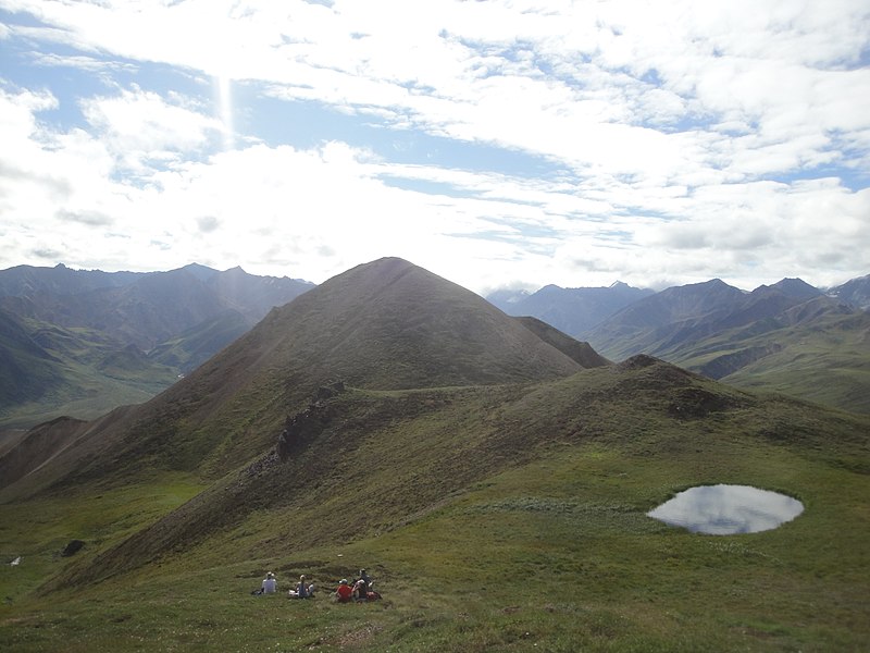 File:Alpine Meadow (d29967c1-9d6b-4908-af75-285320f191c5).jpg