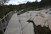 English: Rock art in the world heritage area in Alta, Norway. This is from the area Bergbukten 1, a group of some 900 figures. 23-25 m above sea level, and 6000-7000 years old.