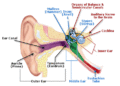 Thumbnail for version as of 21:45, 2 January 2015