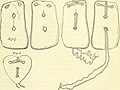 Thumbnail for File:Annual report of the Board of Regents of the Smithsonian Institution (1881) (18430756752).jpg