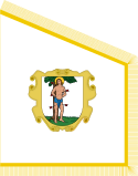 Flag of Neutral Municipality