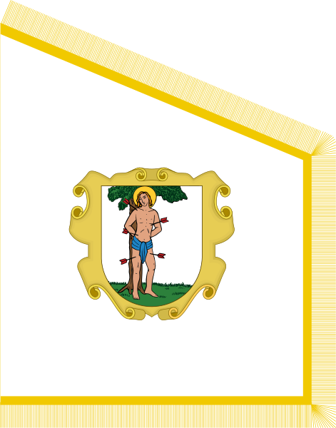 File:Antiga Bandeira do Rio de Janeiro.svg