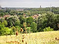 Antoing (Be) château des Princes de Ligne vue de Calonne.JPG