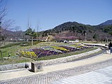 青葉山ろく公園（2006年3月）