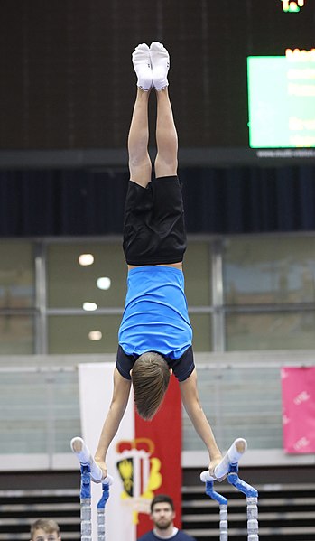 File:Austrian Future Cup 2018-11-23 Training Afternoon Parallel bars (Martin Rulsch) 0342.jpg