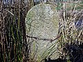 wikimedia_commons=File:BB24 Boundary Stone, Barnhorn.jpg