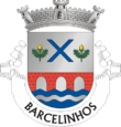 Vlag van Barcelinhos