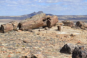 Liste Der Nationalparks In Argentinien: Karte, Nationalparks, Weitere Schutzgebiete (Auswahl)