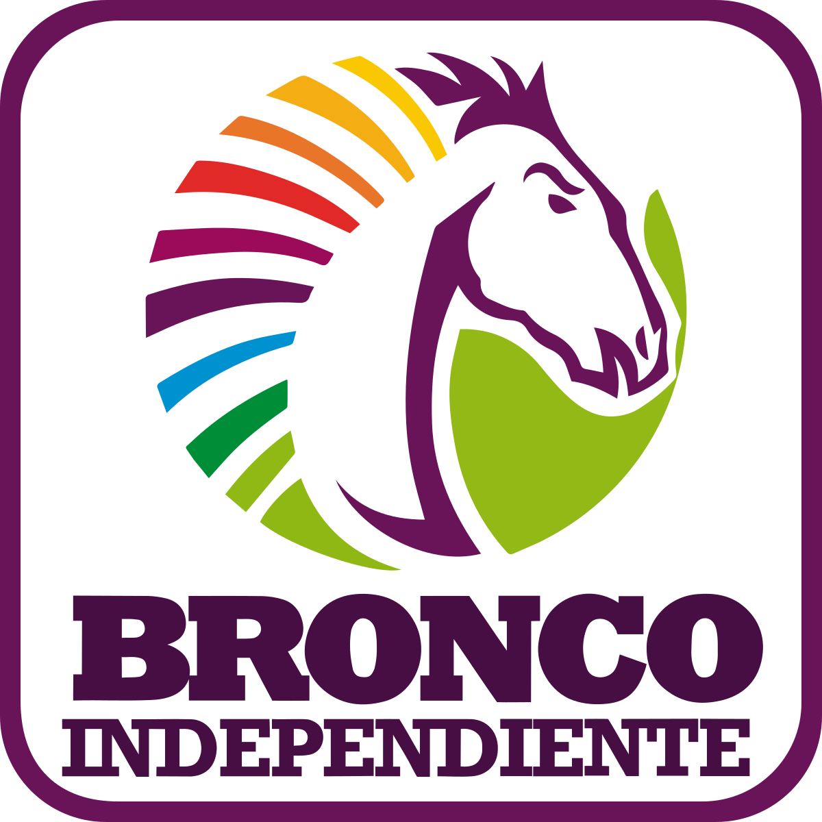 Details 50 el bronco logo