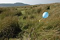 Balloon on Cefn y Bryn - geograph.org.uk - 984936.jpg