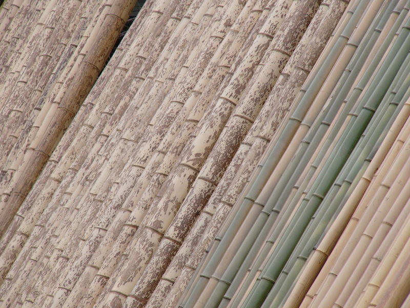 File:Bamboo Backdrop SaganoArashiyama.jpg