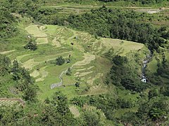 Banaue Rice Terraces paddies 03