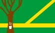 Vlag van Assis Brasil