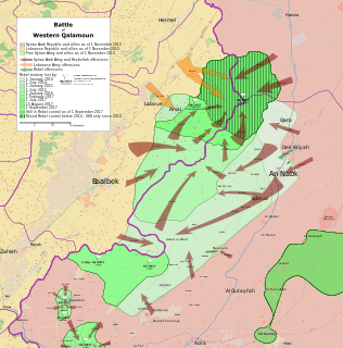 Qalamoun offensive (2014) Military operation of the Syrian Civil War