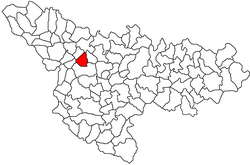 Locatie in Timiș County