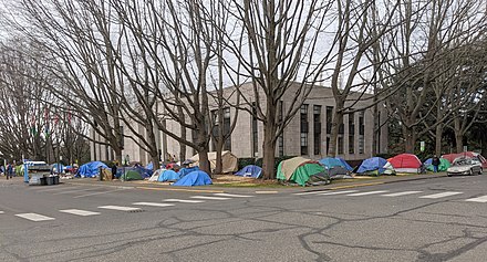 Homeless encampment around Bellingham City Hall, 2020