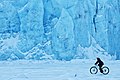 Biking at Portage Glacier (32244835432).jpg
