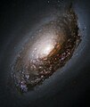 Galáxia Uolho Negro