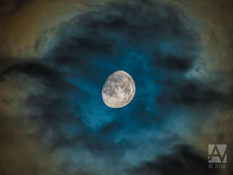 File:Blue moon (30191084092).jpg