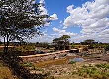 Bridges on the border of Kenya and Tanzania Bridges-across-Mara-2012.JPG