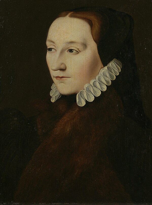 Portrait c. 1560