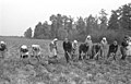 Bundesarchiv Bild 101I-001-0283-14, Polen, Bäuerinnen und Bauern bei Feldarbeit.jpg