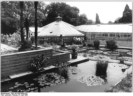 Bundesarchiv Bild 183 1983 0606 016, Halle, Botanischer Garten, Seerosenteich, Gewächshäuser