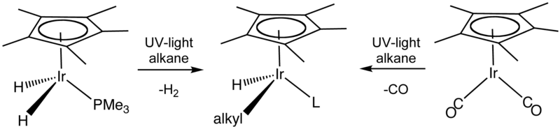 File:C-HactnBergGrah.png