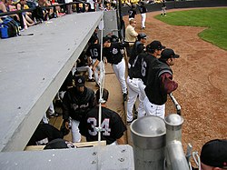 Calgary Vipers players in the dugout Calgary Vipers dugout.jpg