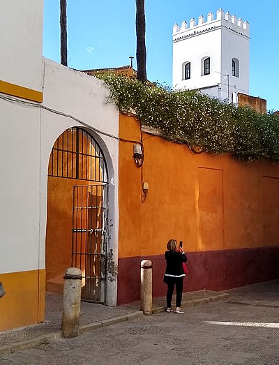 Calle Vida (Sevilla)