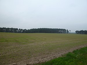 View from the direction of the road between Mannhausen and Velsdorf to the Rosenberg