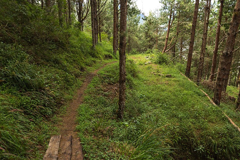 File:Camino del sendero Orquidea de Fuego, Tungurahua, Ecuador.jpg