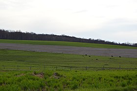 Mercer Township (comté de Butler, Pennsylvanie)