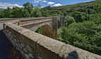 Ceps, Roquebrun, Hérault 01.jpg