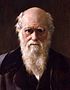Charles Robert Darwin by John Collier-crop.jpg