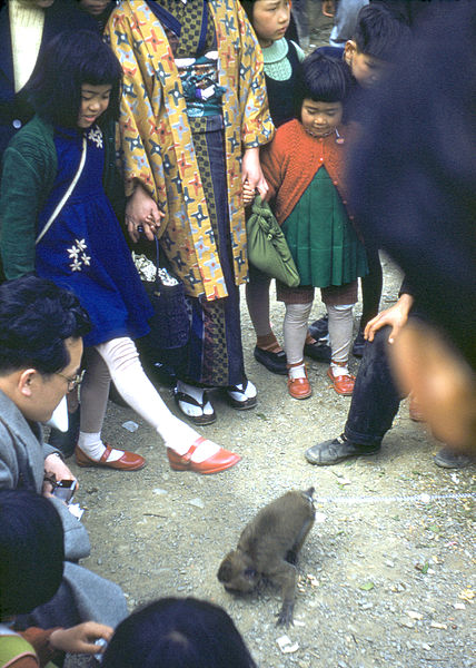 File:Cherry Blossom Festival 1955 - Orio, Yahatanishi Ward, Kitakyushu, Fukuoka Prefecture (2).jpg