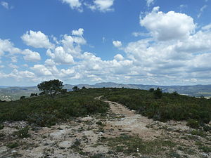 Puig de Sant Antoni