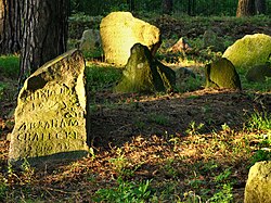 Cmentarz mahometański Studzianka 11 JoannaPyka.JPG