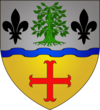 Wappen schieren luxbrg.png