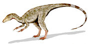 Miniatura per Compsognathus longipes