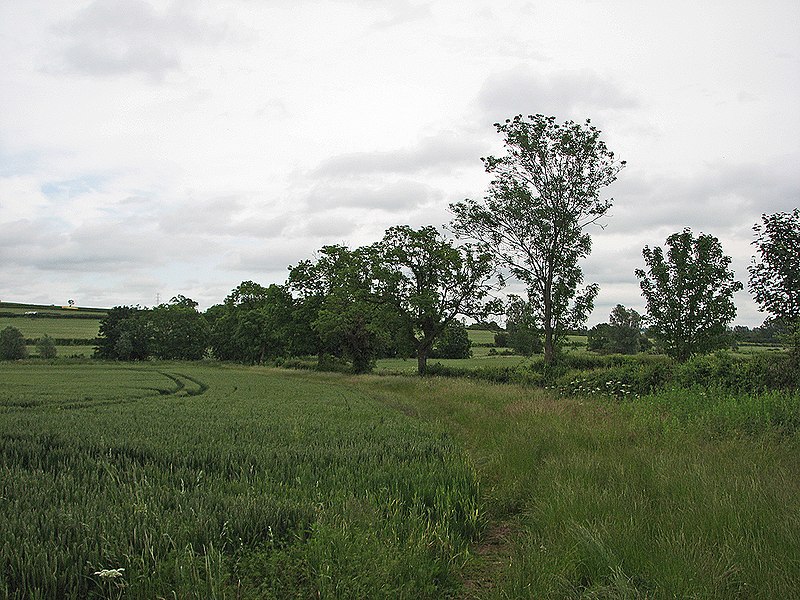 File:Course of short-lived quarry branch line - geograph.org.uk - 3016129.jpg