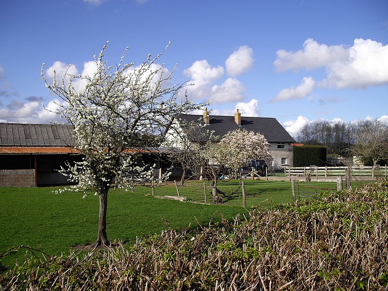 File:Court Farm, Marshfield - geograph.org.uk - 2339369.jpg