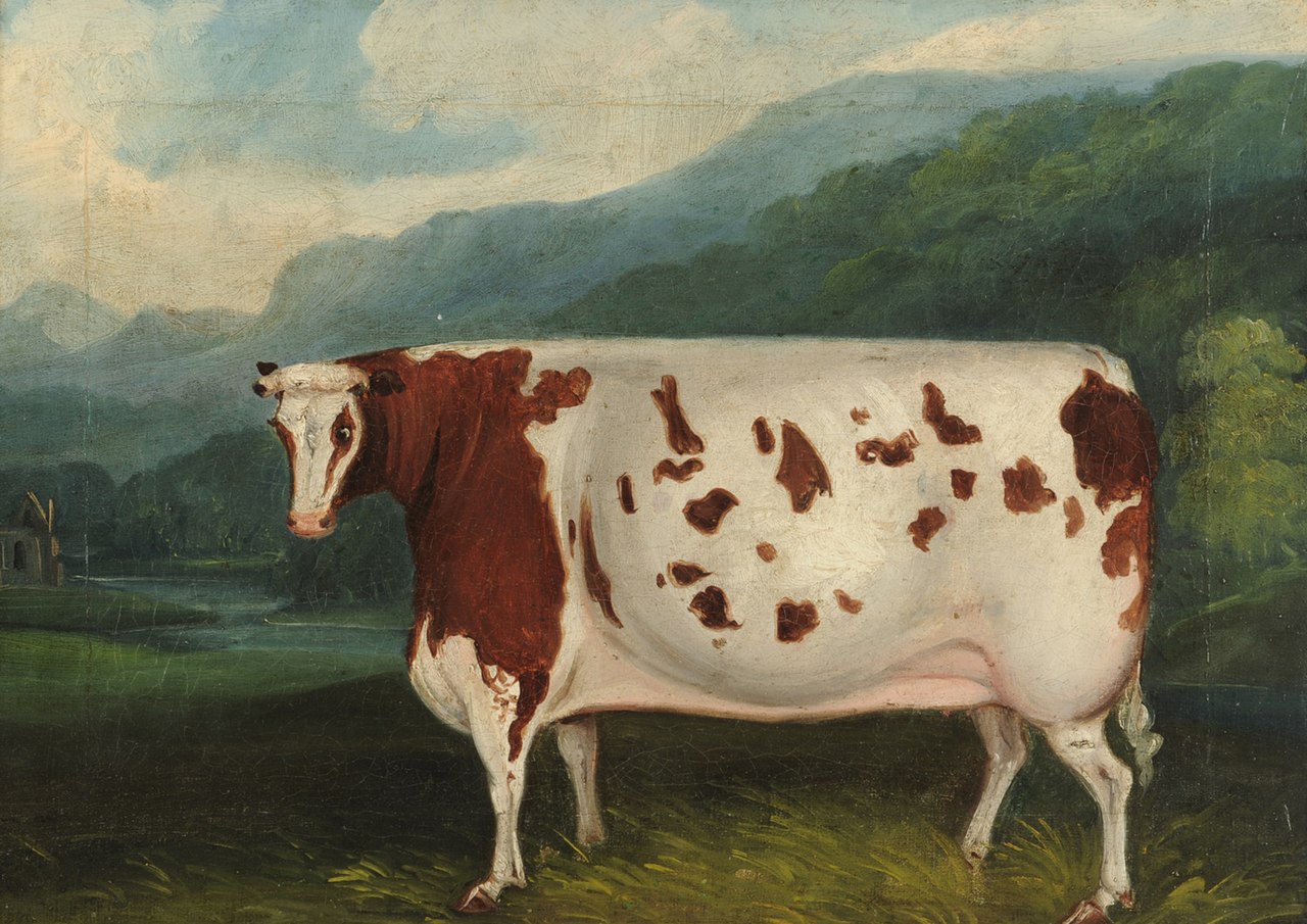 Картина аббатство коровы