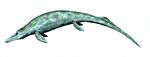 Cymbospondylus, en ichthyosaurie som levde under trias i vad som skulle komma att bli Nevada.