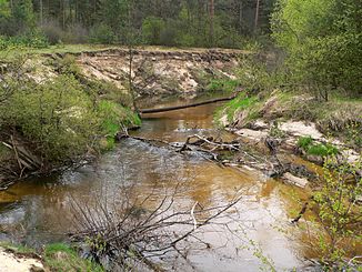 Die Czarna Konecka bei Wasosz