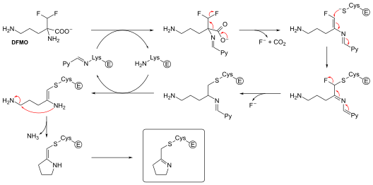 Example of a reversible inhibitor forming an irreversible product.