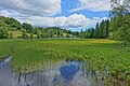 Klosterweiher (Dachsberg)