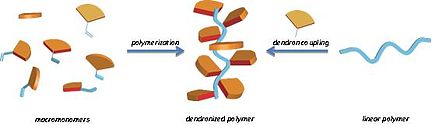 Figure 4. The two main synthetic approaches: The macromonomer route (left) and the attach-to route (right). Denpol synthesis.JPG