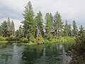 Deschutes River Trail to Behnam Falls (2014)